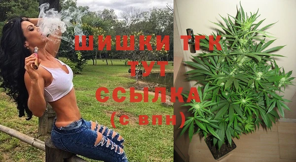 СК Алзамай
