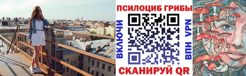 наркошоп  Саров  Псилоцибиновые грибы Psilocybine cubensis 